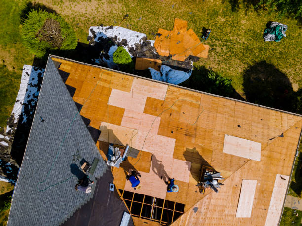 Best Metal Roofing Contractor  in Waggaman, LA